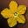 Ice Cold Flower