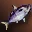 Small Purple Nimble Fish